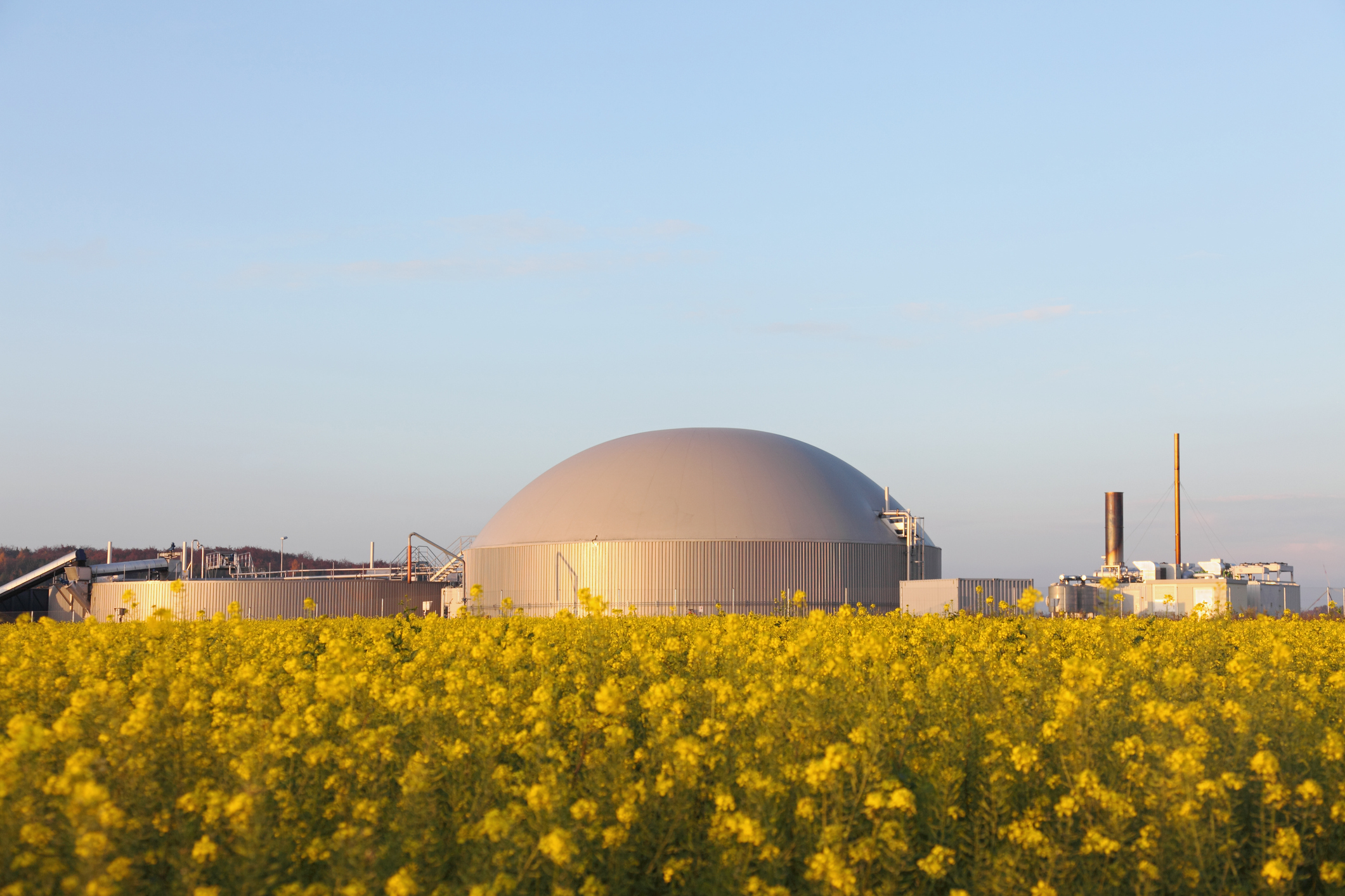 Exterior of a municipal bio gas plant with a flower field