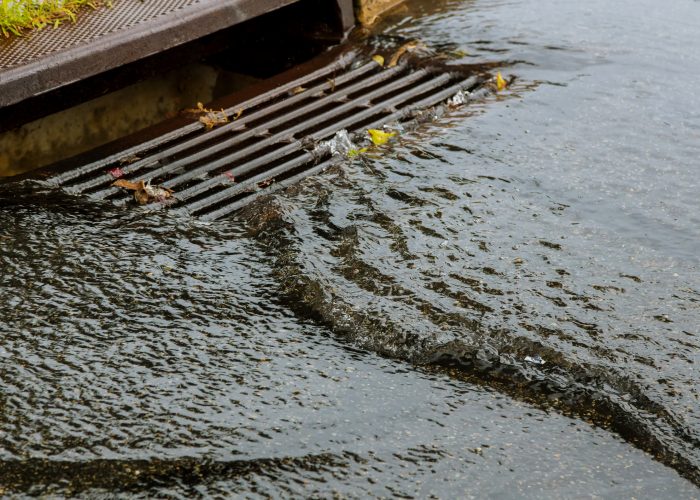 Overflowing stormwater drain