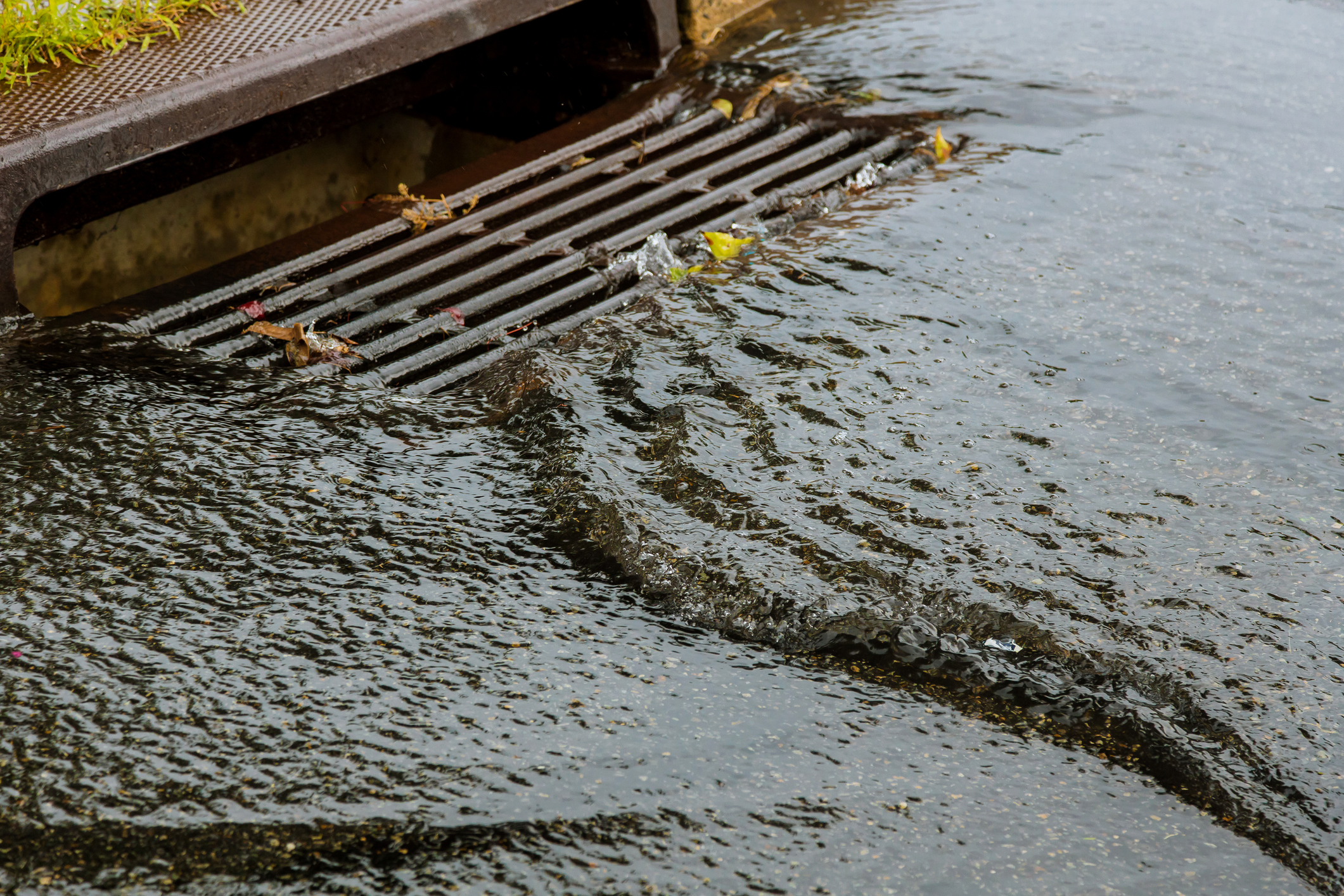 Overflowing stormwater drain